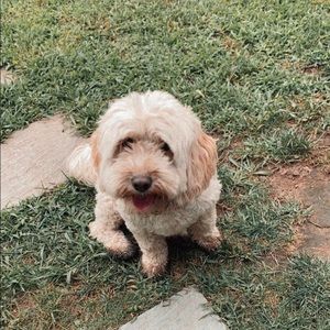 Meet your Posher, Emma